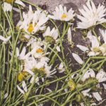 kapotte bloemen op de grond yom kippur rauwceremonie